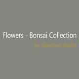 Flowers-Bonsai-Collection